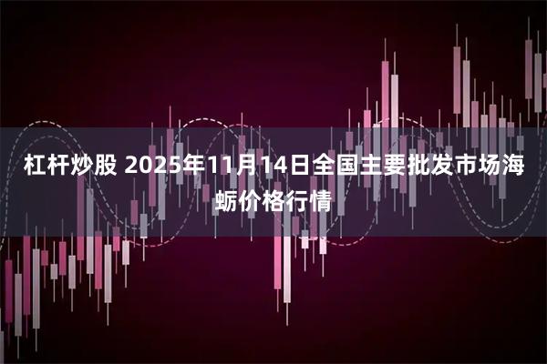 杠杆炒股 2025年11月14日全国主要批发市场海蛎价格行情