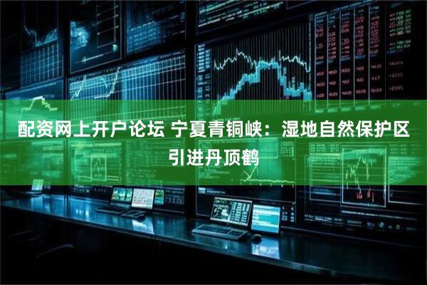配资网上开户论坛 宁夏青铜峡：湿地自然保护区引进丹顶鹤